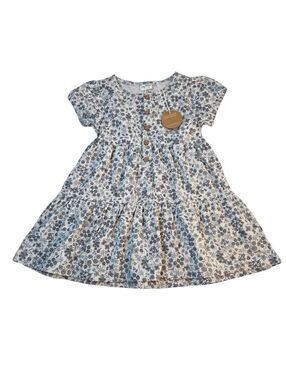 City Mouse Blue Floral Tiered Cotton Dress
